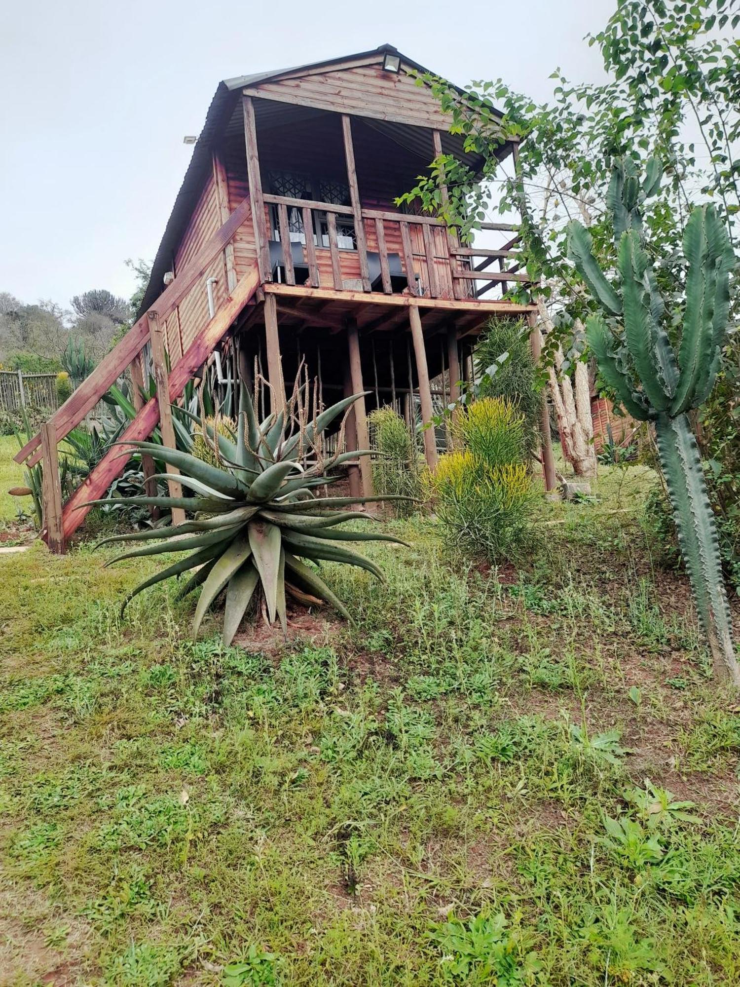 Entendeni Lodge SelfCatering Inanda Kamer foto